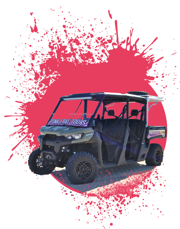 The Buggy from Pink Lake Tours